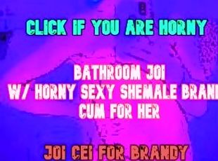 Be dominated by a Shemale on your Toilet BATHROOM JOI CEI
