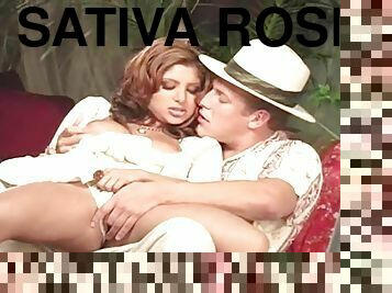 Sativa rose & jerry studio