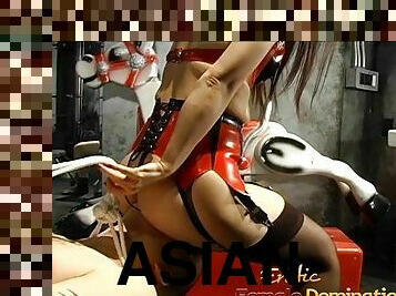 Delicious asian minx makes this horny stallion tied very