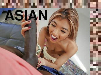 Adorable Asian girls wraps her lips and pussy around BBC