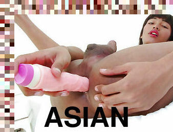 asiatisk, kæmpestor, onani, gammel, transvestit, mager, skønheder, teenager, legetøj, ladyboy