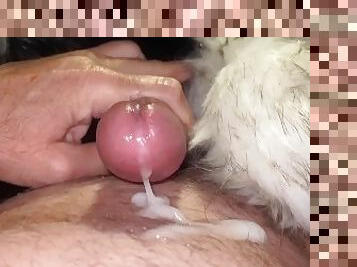 mastürbasyon-masturbation, yaşlı, amatör, olgun, üstüneyüzüne-boşalma, çift, genç-18, meni, daha-yaşlı, fetiş