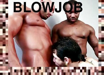 blowjob, homofil, compilation, muskuløs, suging