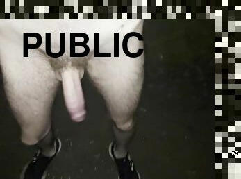 mataina, nudists, ārā, publisks, pusaudzis, homoseksuāls, pludmale, mašīna, noķerts, solo