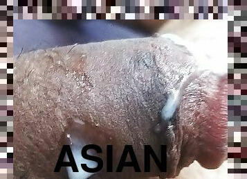 ázijské, kúpanie, masturbácia, amatérske, striekanie-semena, gejské, robenie-rukou, bacuľaté, semeno, sprcha