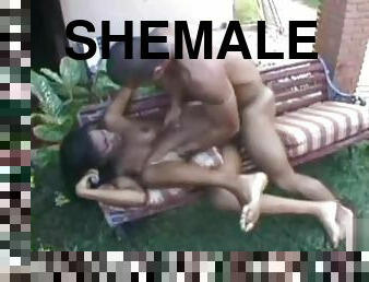 Picnic Brazilian Shemale Sex Outings