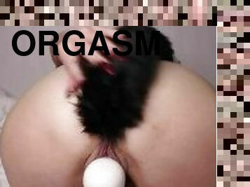 Tail Butt Plug and 6 Pussy Dripping Orgasms