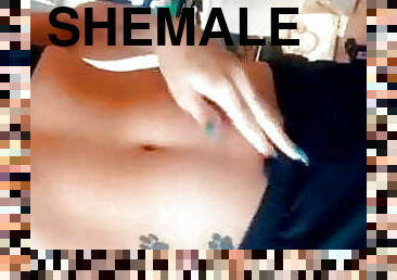 Shemale 292