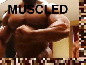 ROIDED MUSCLEBULL 