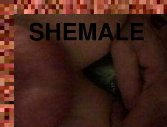 shemale, gej