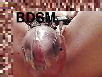 ゲイ, bdsm, 玉