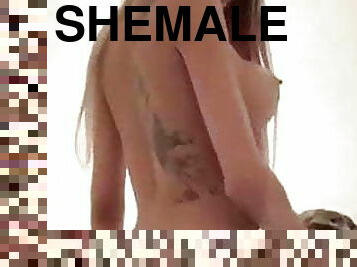 Shemale 330