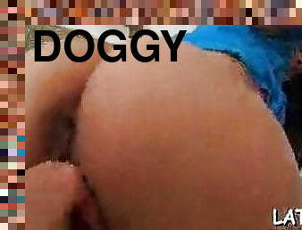 doggy