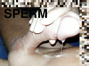 homo, sperma-sperm