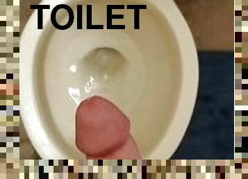 Jerk off Into toilet