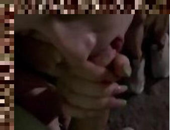 payudara-besar, mastubasi, umum, blowjob-seks-dengan-mengisap-penis, remaja, sentakkan, pertama-kali, sperma, berambut-pirang, saudara-perempuan