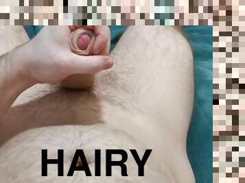 poilue, énorme, masturbation, orgasme, ejaculation-sur-le-corps, gay, secousses, solo