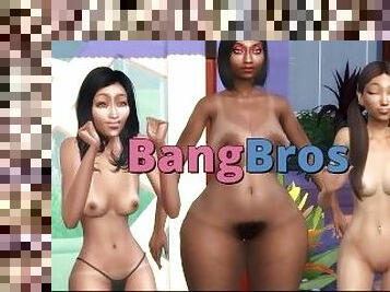 Bang Bros 1