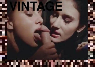 Vintage Hot Sex 301