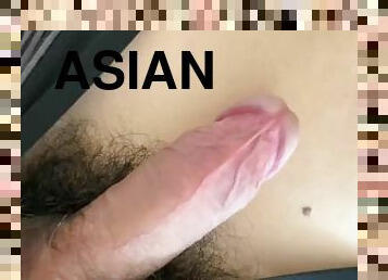 Asian erected penis