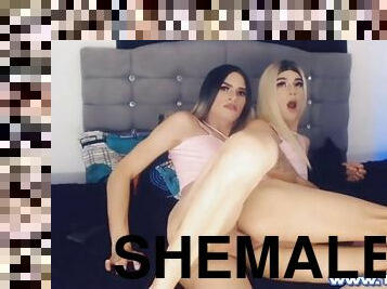 Two sexy shemales with best friends ass fucking