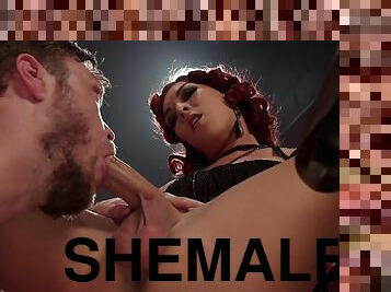 shemale, anal, blowjob, hardcore, oral, fetisj, rumpehull, dominans