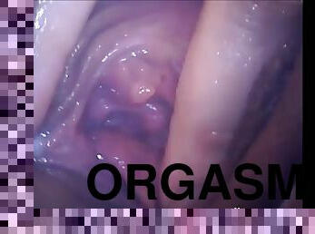 orgasme, amatør, kamera, voyeur, webkamera, vagina