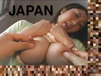 Japanese udders lactating