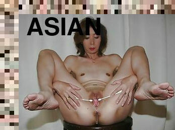 asiatisk, gamling, milf, samling, puma