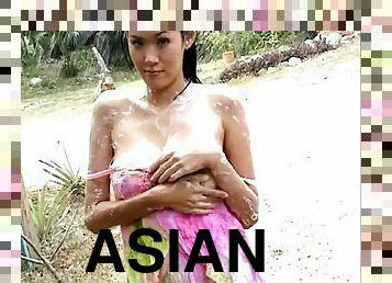 asiatisk, storatuttar, thailändsk, ensam