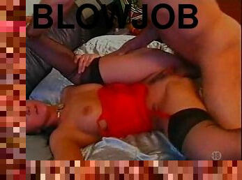 Glamorous stockings slut fucked thoroughly