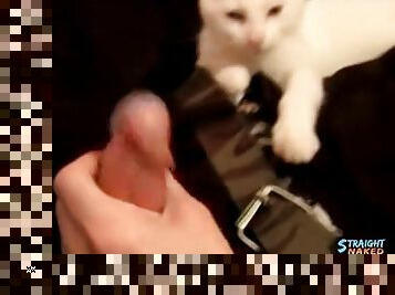 Cute guy plays with his kitten and jerks off