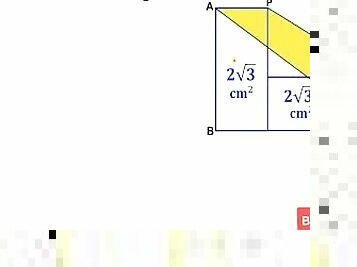 オールド, 公共, 学究, 師長, 素人, 成熟した, ローティーン, 日本人, インドの女の子, 年上の