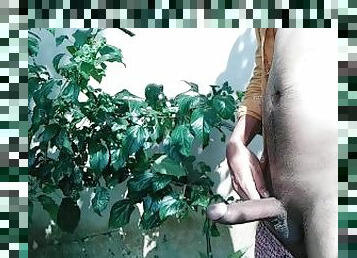 Pakinoon Got Horny While Visiting Garden For Guava, Masturbating A Lot Moan Jerking And Unload